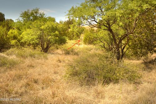 28-142 Tanglehead Ln, Patagonia, AZ, 85624 | Card Image