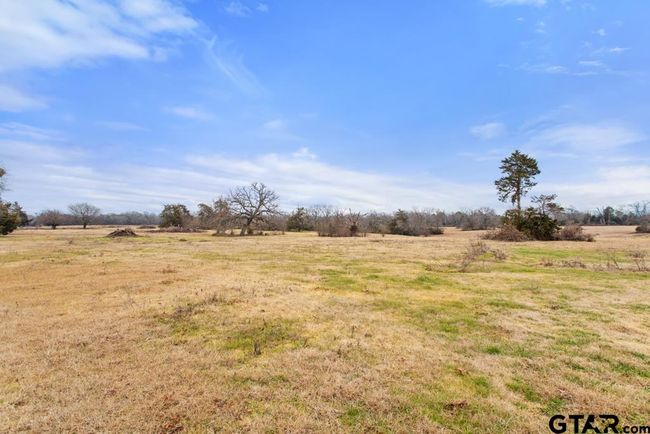 15037 State Highway 110, Home with 0 bedrooms, 0 bathrooms and null parking in Van TX | Image 26