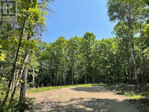 Lot 17 Lakewoods Drive, Madawaska Valley, ON, K0J1B0 | Card Image