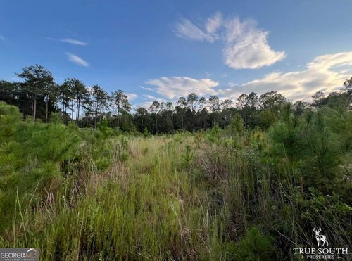 0 Bedsole Rd, Eastman, GA, 31023 | Card Image