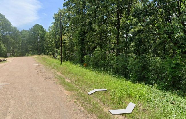 View of asphalt road featuring a view of trees | Image 8