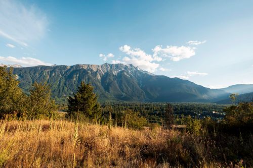 9004 Sun God Mountain Way, Pemberton, BC, V0N2L3 | Card Image
