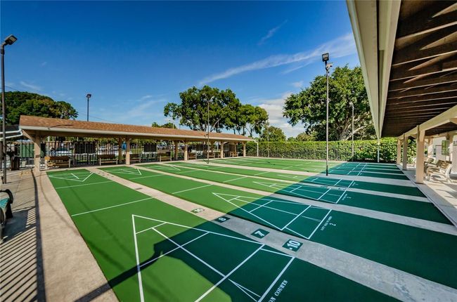Shuffleboard, bowling, & bocce ball leagues too~ | Image 36