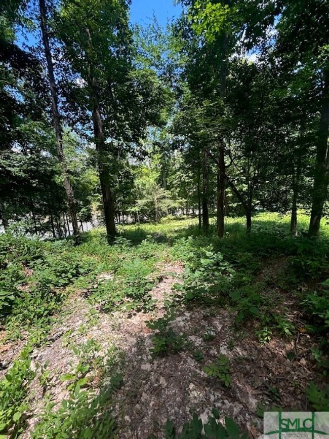 level area | Image 22