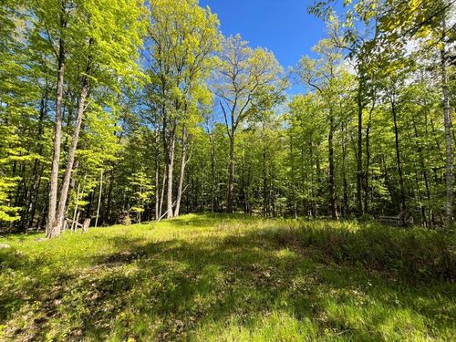 lot-9-and-10-ON Old Elcho Rd, Pelican Lake, WI, 54463 | Card Image