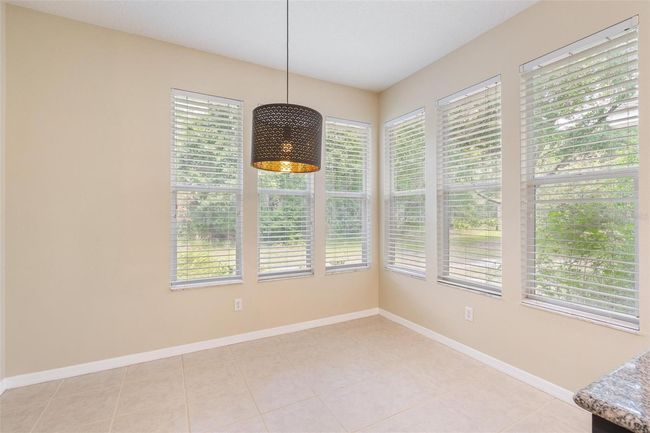 11933 Pasco Trails Blvd, House other with 4 bedrooms, 3 bathrooms and null parking in SPRING HILL FL | Image 12