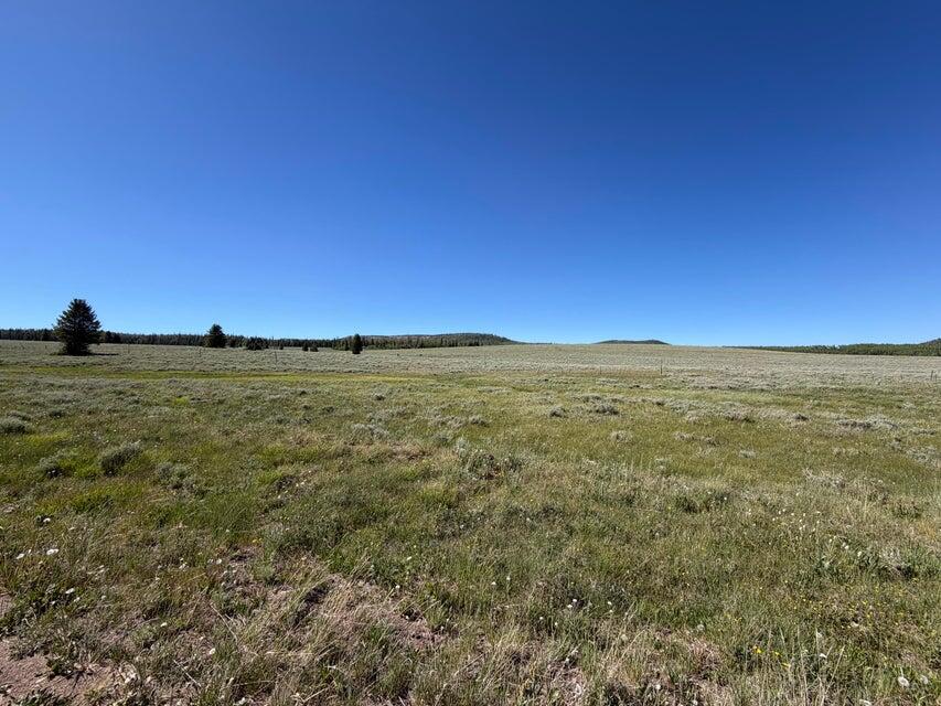 Land in Brian Head