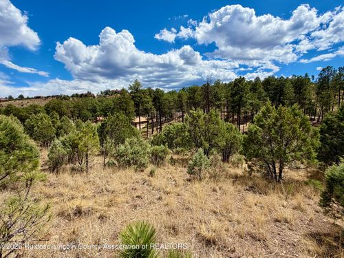 134 Stable Court, Alto, NM, 88312 | Card Image