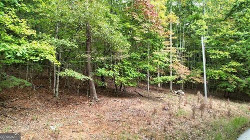 Lot32 Cold Springs Rd, Morganton, GA, 30560 | Card Image