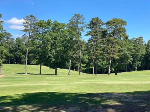 13 Ensenada Ln, Hot Springs Village, AR, 71909-3035 | Card Image
