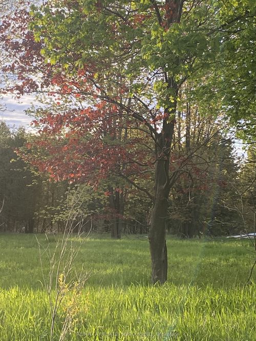 LOT Sapphire Drive, South Glengarry, ON, K6H7J1 | Card Image