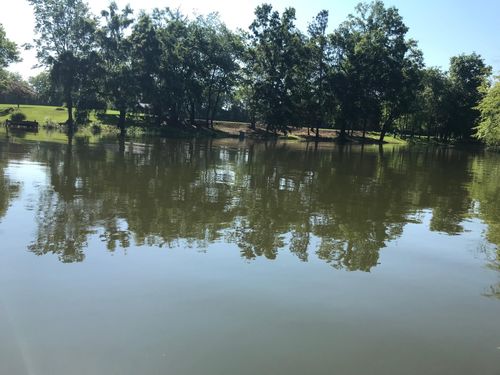 894 Riverbend Dr, Dayton, TN, 37321-5337 | Card Image
