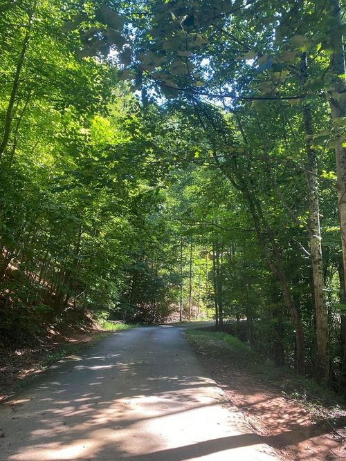 na Ajs Holler, Blairsville, GA, 30512 | Card Image