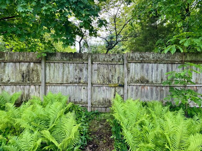 1350 Saint Johns Ave, House other with 5 bedrooms, 2 bathrooms and 2 parking in Highland Park IL | Image 37