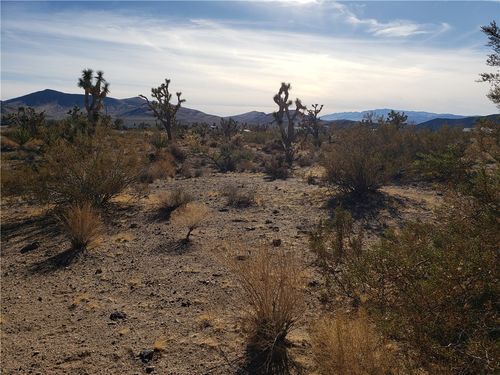 20576 N Golden Arrow Ave, White Hills, AZ, 86445 | Card Image