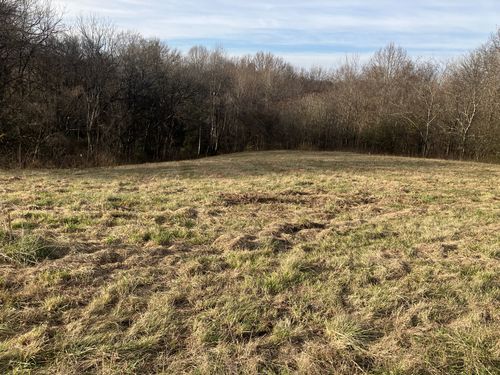 3 Diana Ridge Rd, Pulaski, TN, 38478 | Card Image