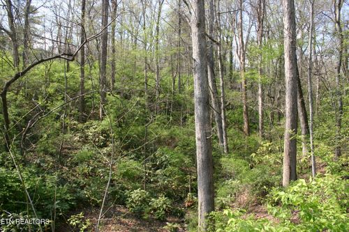 12 Van Horn Rd, Knoxville, TN, 37918 | Card Image