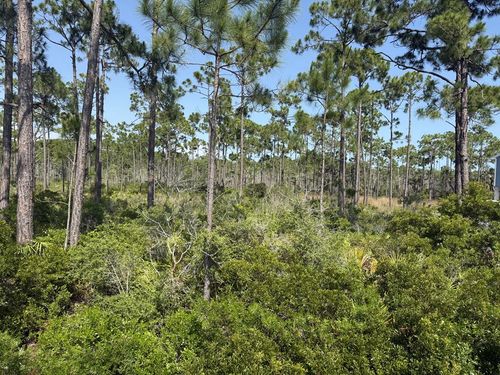 Lot 6 Highway 98, Mexico Beach, FL, 32456-9571 | Card Image