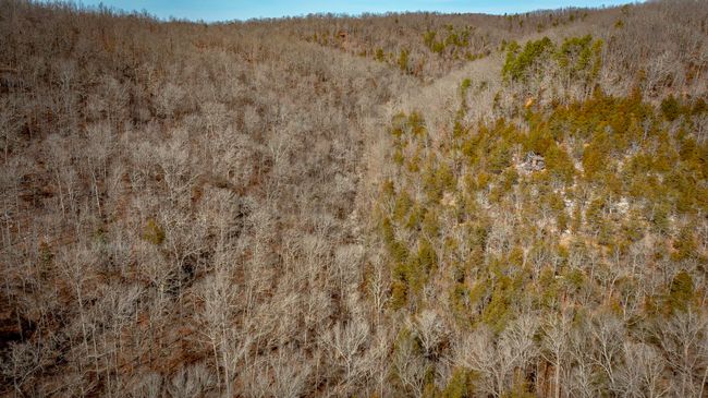 00 Bear Skin Dr, Home with 0 bedrooms, 0 bathrooms and null parking in Harriet AR | Image 31