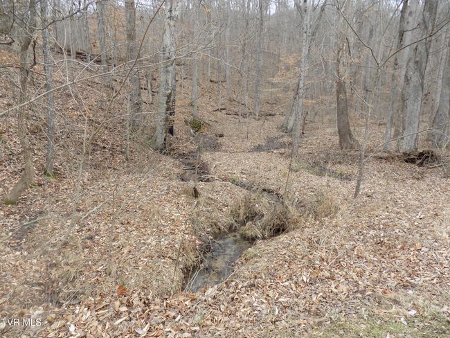 185 Lovin Rd, House other with 4 bedrooms, 2 bathrooms and null parking in Mooresburg TN | Image 58