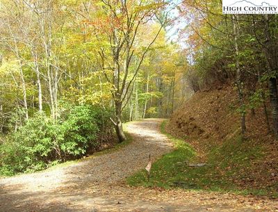 Lot 3 Hidden Forest Trail, Home with 0 bedrooms, 0 bathrooms and null parking in Todd NC | Image 3