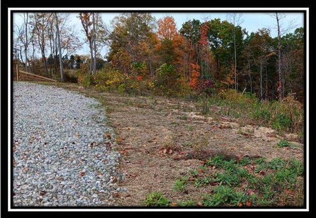 TRACT-1 - 34482 Huston Rd, Home with 0 bedrooms, 0 bathrooms and null parking in Radcliff OH | Image 33