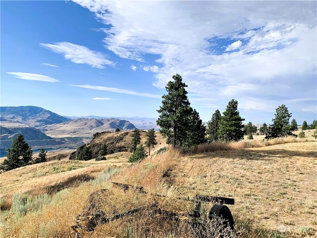 100 Pine Bluffs Ln, Home with 0 bedrooms, 0 bathrooms and null parking in Waterville WA | Image 22