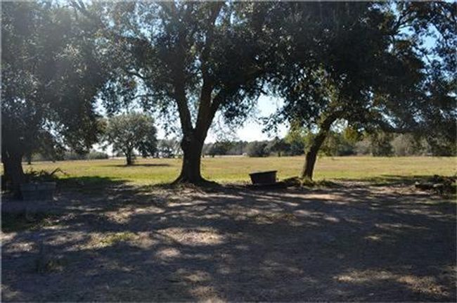319 Wallace Rd, Home with 0 bedrooms, 3 bathrooms and 2 parking in Hankamer TX | Image 11