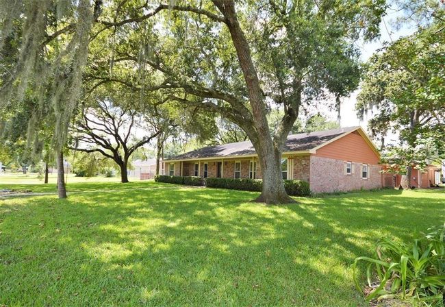 Beautiful yard with mature trees! | Image 13