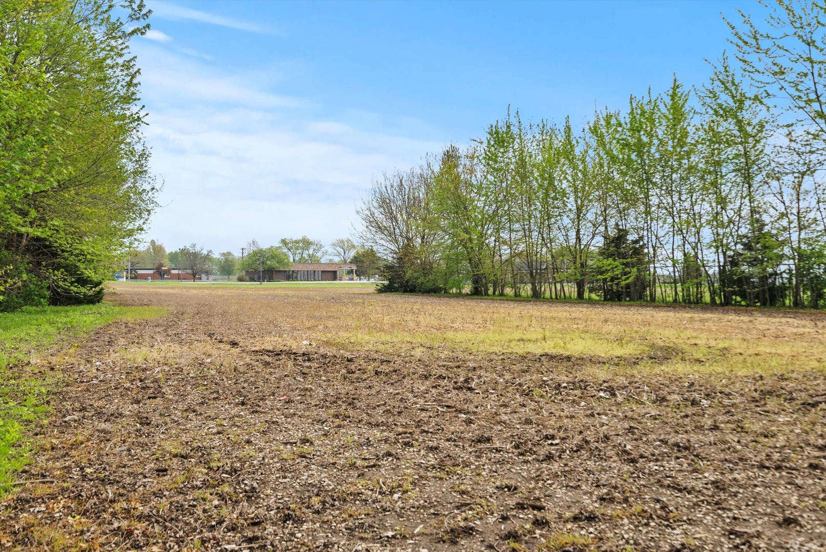 Farm in Manhattan 5