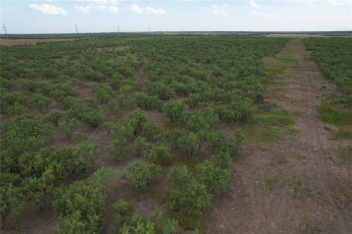 100+/- Ac TBD Hwy 6, Lueders, TX, 79533 | Card Image