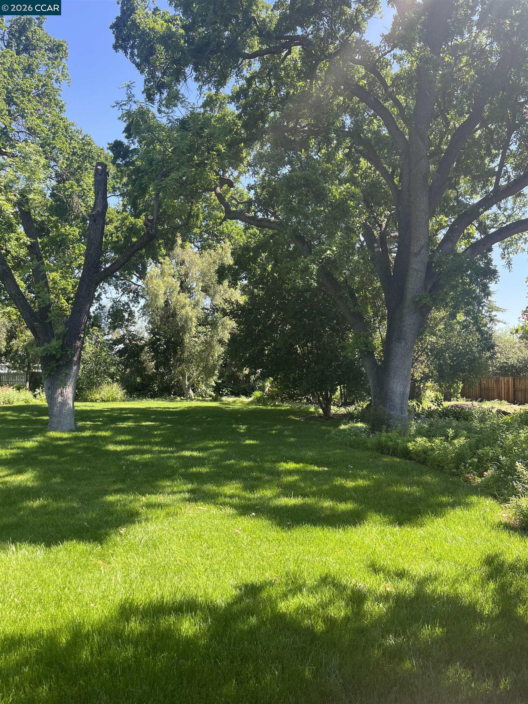 Residential Lease in Concord 2