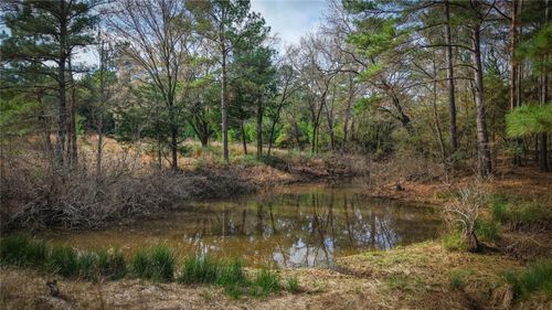 (39.15 acres) 12868 County Road 122, Centerville, TX, 75833-3651 | Card Image