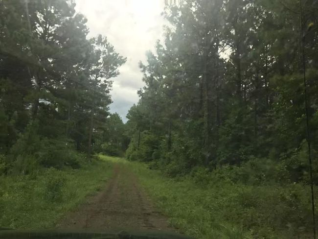 00 Fm 1751, Home with 0 bedrooms, 0 bathrooms and null parking in BRONSON TX | Image 6