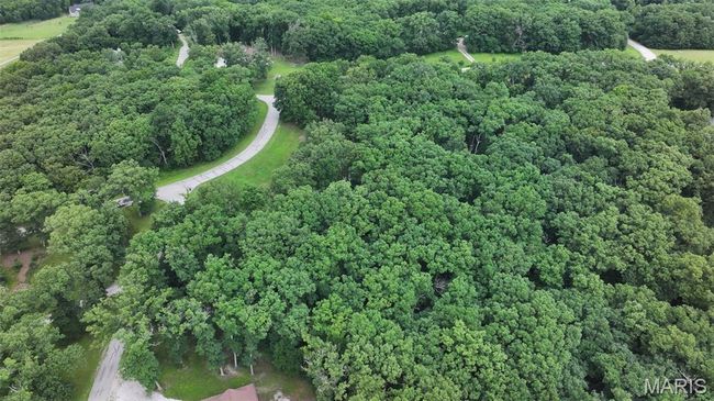 Aerial view of property's location with a forest | Image 10