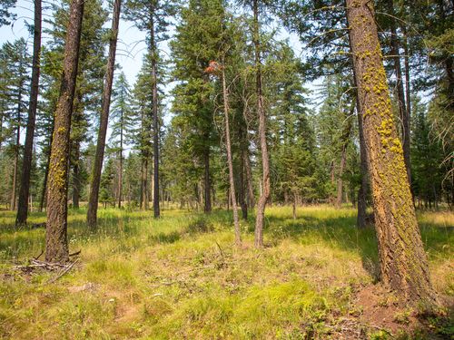 415 Bowdish Road, Kalispell, MT, 59901 | Card Image