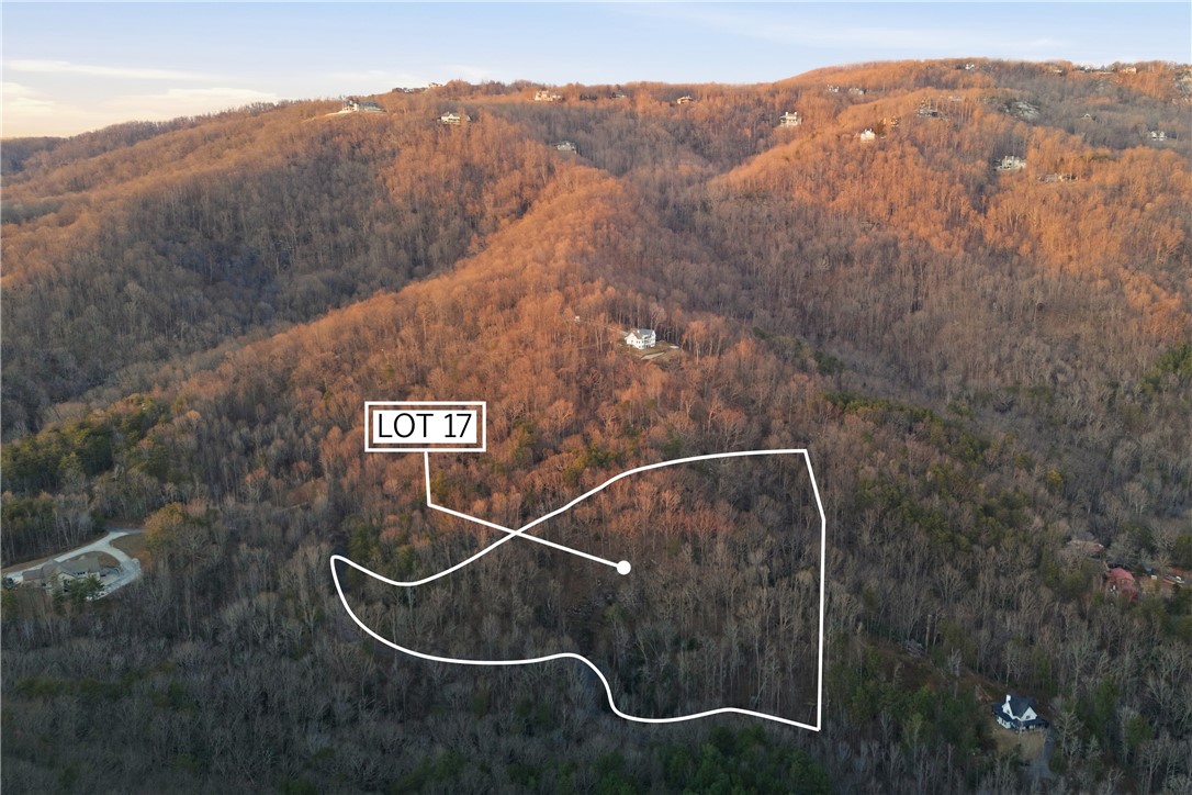 Residential in Landrum 5