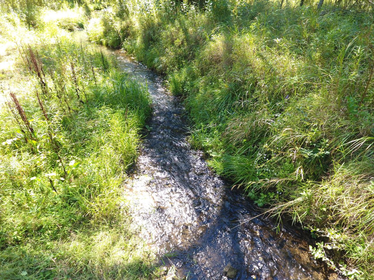 Elk Run Rd, Viola, WI 54664