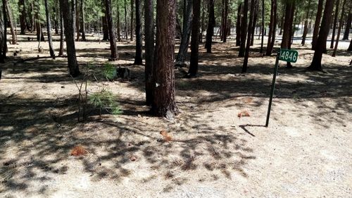 14846 Curlleaf, La Pine, OR, 97739-9437 | Card Image