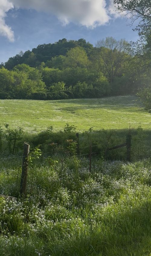 0 Little Salt Lick Rd, Carthage, TN, 37030 | Card Image