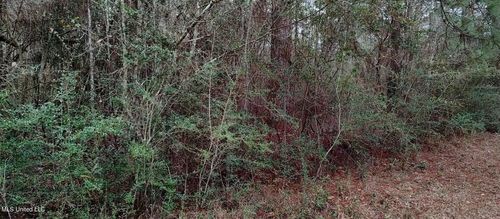 NHN Laura St, Lumberton, MS, 39455 | Card Image