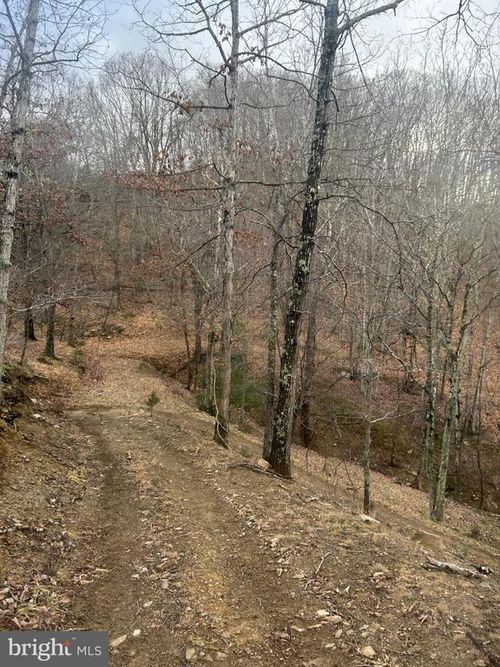 365 Strauter Rd, FRANKLIN, WV, 26807-5572 | Card Image