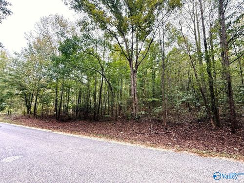 5.10 acres Brans Chapel Road, Attalla, AL, 35954 | Card Image