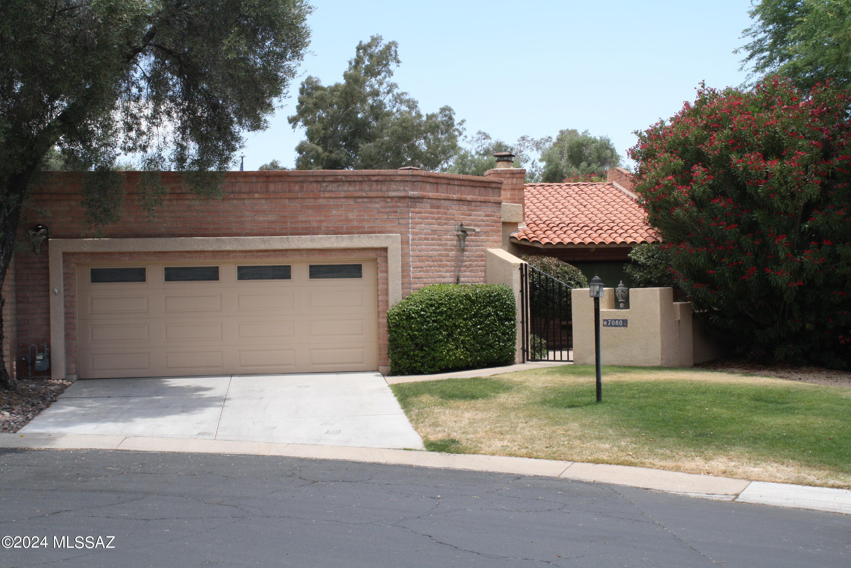Calle Tolosa , Tucson, AZ 85750