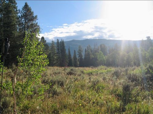 21505 Oglala Way, Oak Creek, CO, 80467-8567 | Card Image