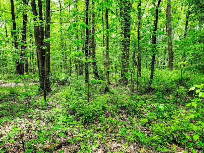 0 Highway 31 N, Home with 0 bedrooms, 0 bathrooms and null parking in Henryville IN | Image 6