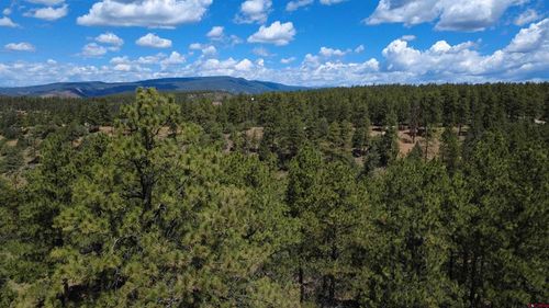 121 Engineer Pt, Pagosa Springs, CO, 81147-7754 | Card Image