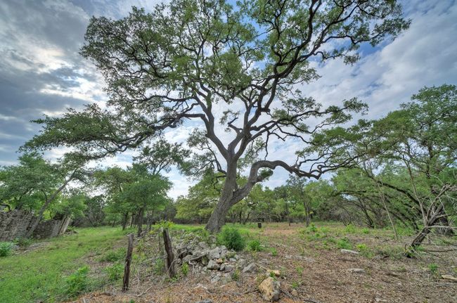 2 - 11916 Jim Bridger Dr, Home with 0 bedrooms, 0 bathrooms and null parking in Austin TX | Image 13