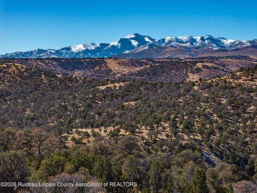 Lot 117 Sandesta Dr, Alto, NM, 88312-9572 | Card Image