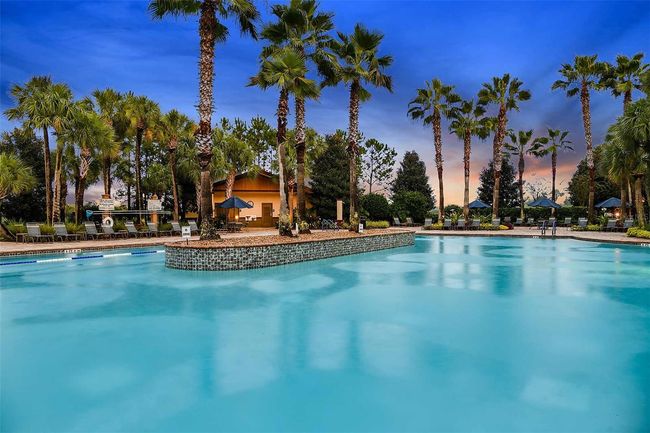 Welcome to Paradise! | Image 31